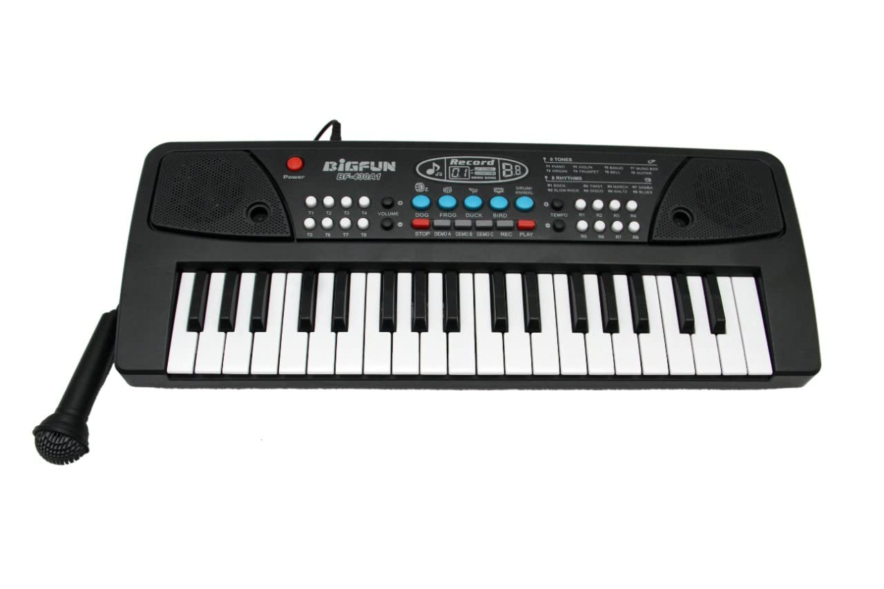 Portable Musical Piano Keyboard with Microphone