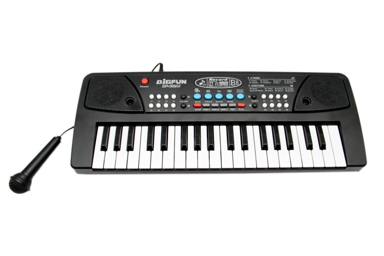 Portable Musical Piano Keyboard with Microphone